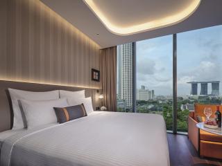 Pullman Singapore Hill Street - 2