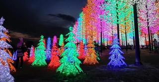 Doraemon I-City House, Hyde Tower I-City, Seksyen 7, Shah Alam Selangor - 0