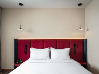 Mercure Chisinau Center Jazz Hotel - 3