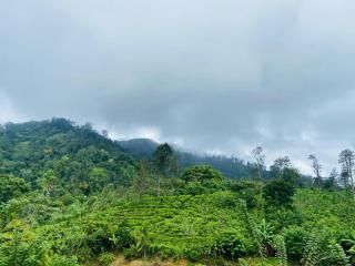 Nine arch echo Villa Ella - 7