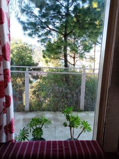 Bonfire, Barbecue, Snow, Private 2BHK Barog near Solan - 5