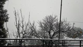 Bonfire, Barbecue, Snow, Private 2BHK Barog near Solan - 8