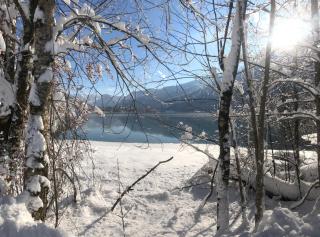 Haus Hirschpoint - 5