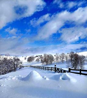 Casa Mila Zlatibor - 4