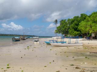 Signature Collections by Eight Continents - 6