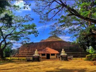 Halmilla Ara Eco Villa - 3