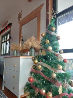 Casa Mila Zlatibor - 2