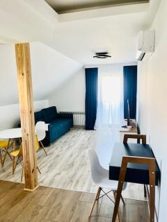 Apartament Studio Sasankowa z bezpłatnym parkingiem - 8