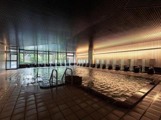 Mercure Miyagi Zao Resort & Spa - 1