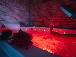 Loft sauna balnéothérapie - 1