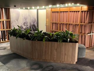 Peppers Gladstone - 6