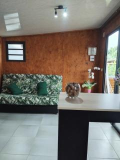 Bungalow des palmistes - 1