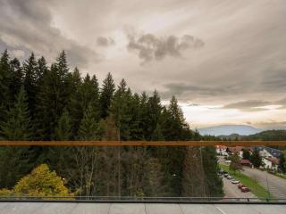 Swissôtel Poiana Brasov - 1