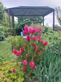 Prés de Giverny - Bienvenue AUX ARPENTS VERTS - 1