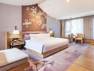 Swissotel Xi' an Xinxing Hot Spring - 2