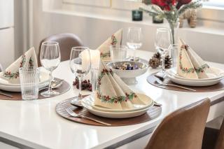 Adorable Arctic Apartments - Private Sauna & Free Parking - 4