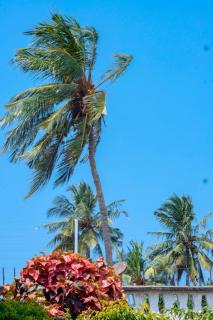 Ununio Beach Holiday Home - 6