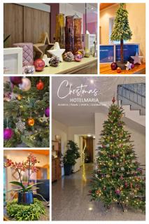 HOTEL MARIA - 0
