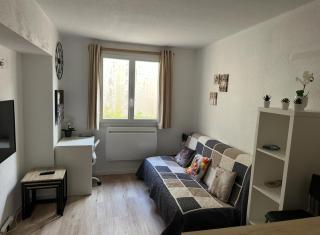 Appart cosy proche des pistes de ski AX 3 DOMAINES - 5