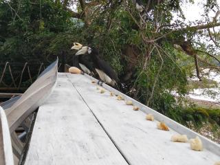 Island Life Bungalows - 8