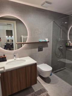 Sensarius BW - Luxury Apartment with Garage - 1