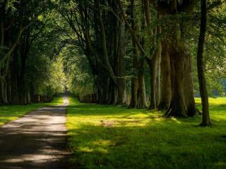 Lucknam Park, Emblems Collection - 7