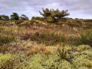 5 person holiday home in Fanø - 5