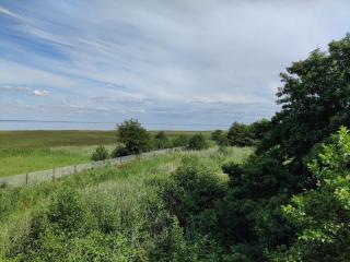 5 person holiday home in Fanø - 1