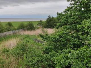 5 person holiday home in Fanø - 2