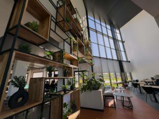 Ibis Puerto General San Martin - 4