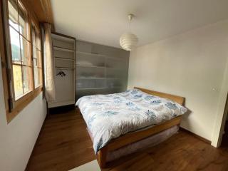 Central WEF apartment Davos, 3 pax - 5