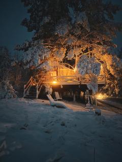 Jurty z widokiem, prywatna balia- DZIKOLAS GLAMPING - 0