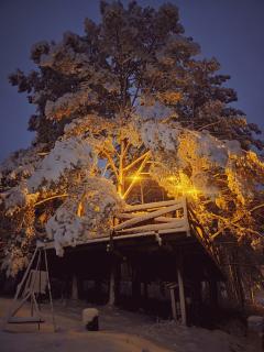 Jurty z widokiem, prywatna balia- DZIKOLAS GLAMPING - 3