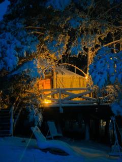 Jurty z widokiem, prywatna balia- DZIKOLAS GLAMPING - 4