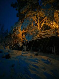 Jurty z widokiem, prywatna balia- DZIKOLAS GLAMPING - 5