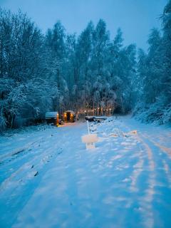 Jurty z widokiem, prywatna balia- DZIKOLAS GLAMPING - 6