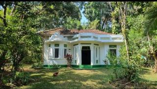 Brenley B Bungalow - 8