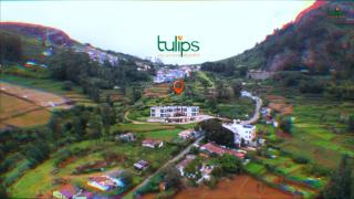 Tulips Valley View Resorts - 4