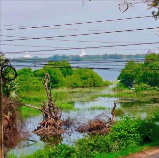 Sunray Lake Residence - 8