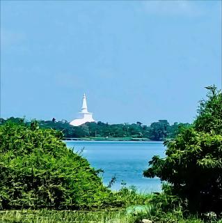 Sunray Lake Residence - 9