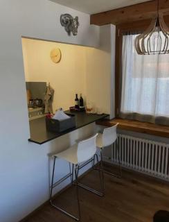 Charming Davos Alpine WEF apartment - 2 pax - 7