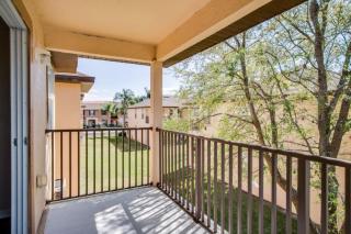 Disney's Delight - 4