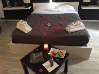 Intero appartamento con vista sul parco , stazione centrale - 0