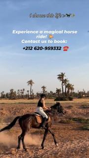 Modern Apt 10min Airport Balcony & Wi-Fi - 7