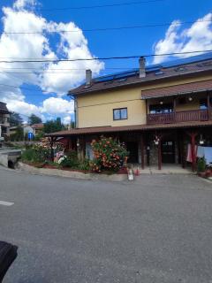 Edelweis Floare de Colt - 7