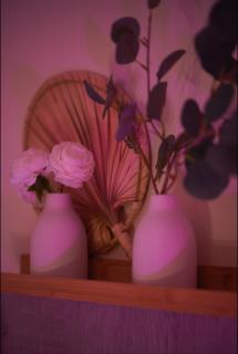 Lunéa - Suite Premium avec Spa et Sauna - 5