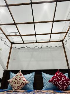 The Sammy tranquilo - 6