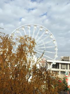 AlexHouseTheater - 8