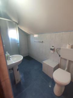 Edelweis Floare de Colt - 3