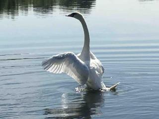 The Boathouse Lodge - 4